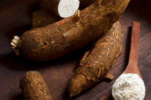 Cassava