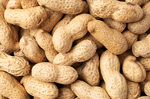 Groundnuts